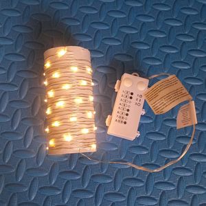 LED Micro Lights