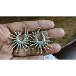 Heavy Stone Work Earring