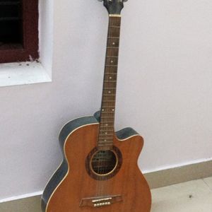 Warner Acoustic Guitar