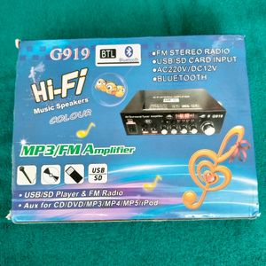 MP3/FM HiFi Stereo Amplifier