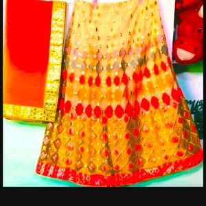 Women Butterfly Work Lehenga Choli