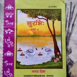 Sanskrit Book Class 6 NCERT Brand New