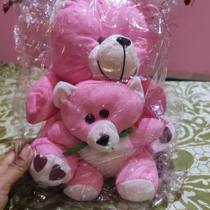 Cute Teddy🧸 (medium size)