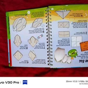 Angry Birds Project Book