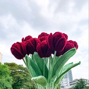 Crochet 🌷 Tulips ✨