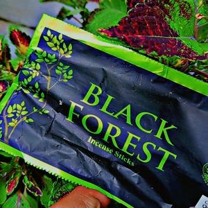 🌲Black Forest Incense Sticks 🌳