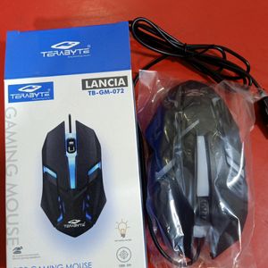 Terabyte Mouse New