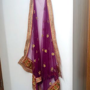 Beautiful Multi Coloured Lehenga