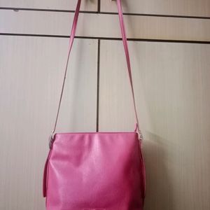 Caprese Handbag And Sling bag