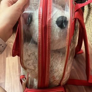 Transparent Backpack