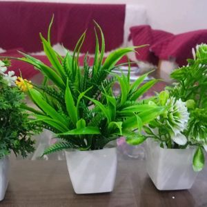 Artificial Plant & Flowers For Decoratio(Set Of 6)