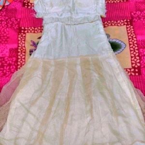 Ethnic Party Wear Gown