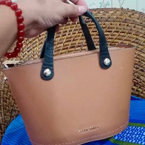 Allen Solly Handbag