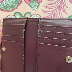 Aldo Wallet