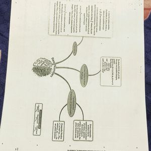 Quick Revision Notes Of All Subjects 10th