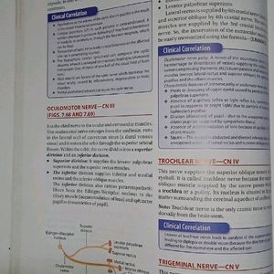 Anotomy Physiology Textbook