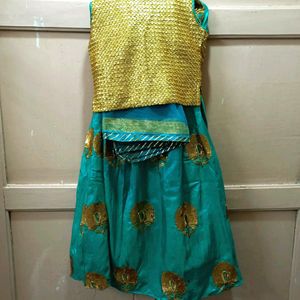 Embroidered Lhenga Choli