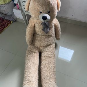 Giant Teddy