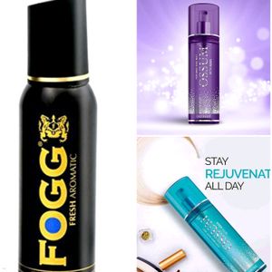 Ossum and Fogg 3 Combo pack