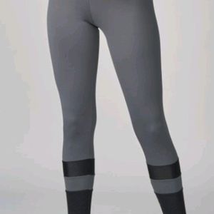 Imported Net Jeggings