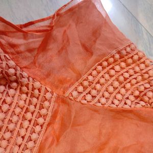 Beautiful Transparent Orange Net Top🌷🌷