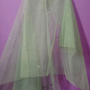 Green Net Dupatta