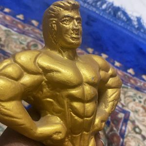 Statue Of Bodybuilder & Vasthu Fish