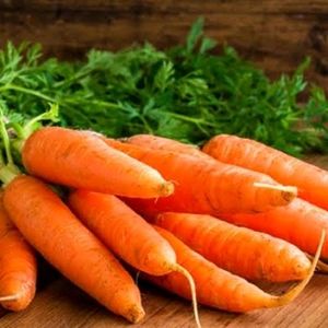 Organic Carrot Seeds Pack Of 1