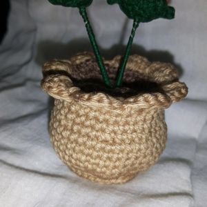 Flower Pot