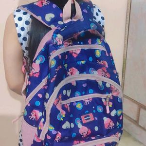 School Bag 5th To 8th Standard