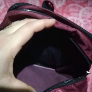 Never Used Sling Bag