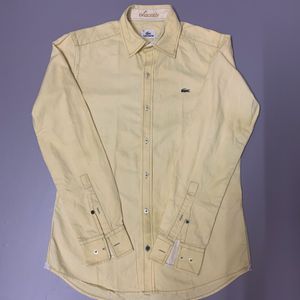 Lacoste Shirt For Men’s.