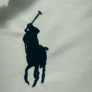 Polo. T Shirt