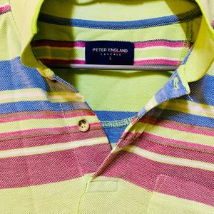 Parrot Colored MultiStripe Checked T-shirt