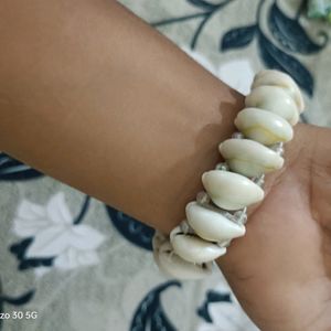 Beautiful Coweis Shell Bracelet