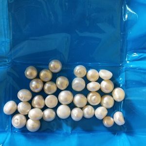 Real pearl 200 Rs For One Piece