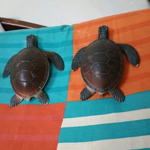 2 Turtles Big