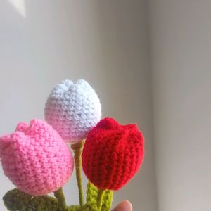 3 Tulip Set