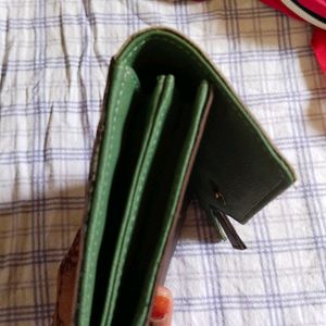 Baggit Wallet