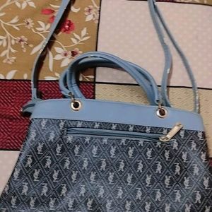 Beautiful Woman Handbag