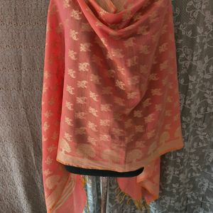 Peace Colour Dupatta For Women