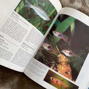 Imported Encyclopaedia: Tropical Aquarium Fishes