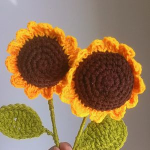 Combo of Sunflower