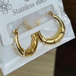 Daily wear classy hoops