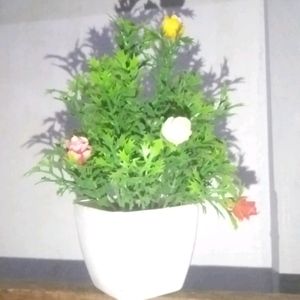 Artificial Plant