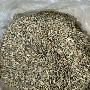 500g Fennel Seeds