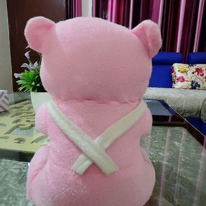 Teddy Bear With Pen Holder