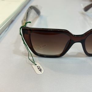 Brown Cat Shaped Sunglass