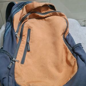 Skybag Bagpack . Used Decently