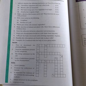 NCERT BOOK OF Science Class 8th